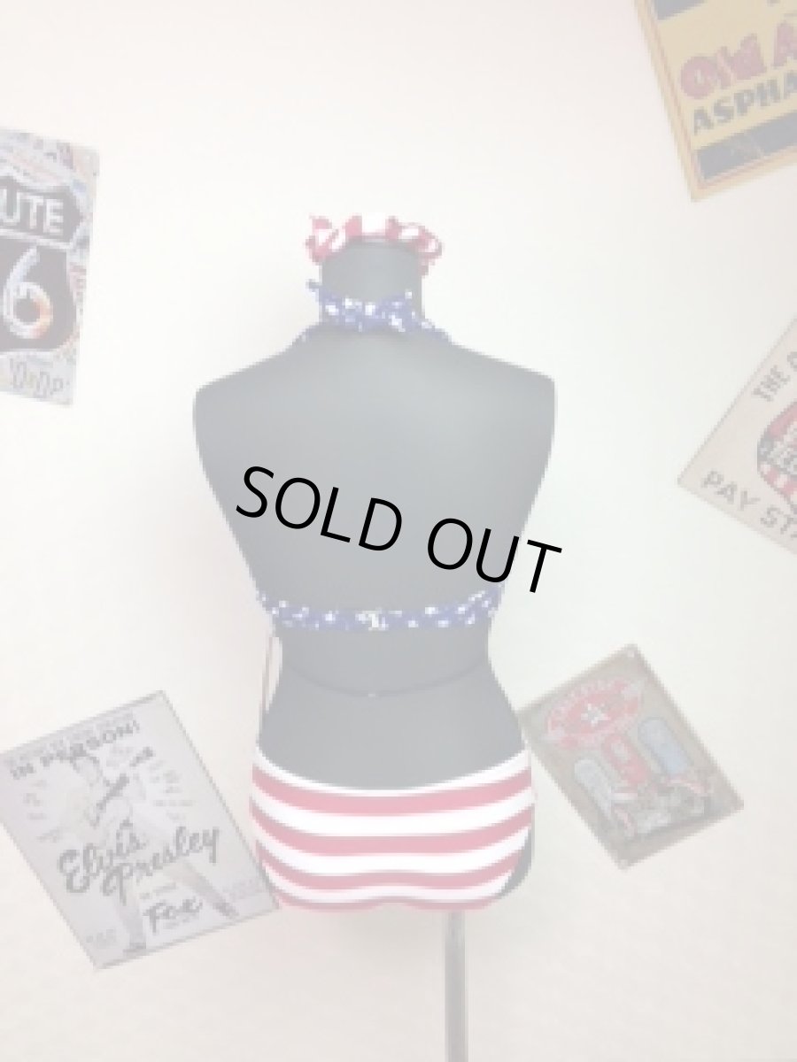 画像3: アメリカンなビキニ (3)